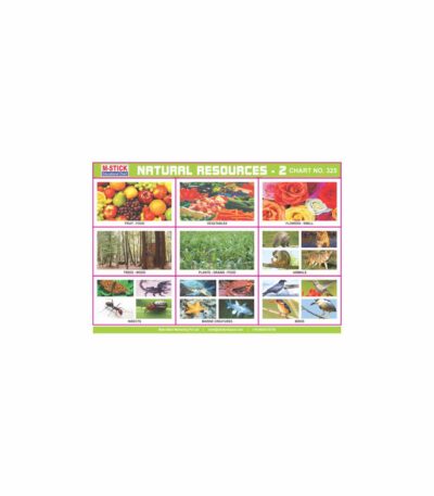 M-Stick Educational Chart 325 Natural Resources-2