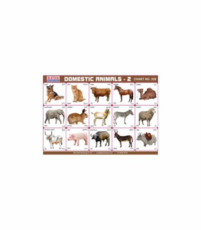 M-Stick Educational Chart 328 Domestic Animals-2