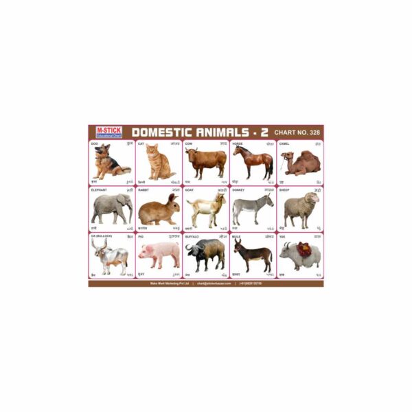 M-Stick Educational Chart 328 Domestic Animals-2