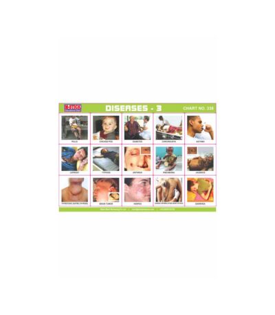 M-Stick Educational Chart 338 Diseases-3