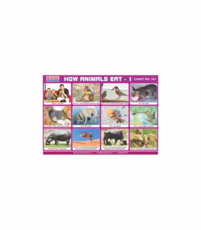 M-Stick Educational Chart 341 How Animals Eat-1
