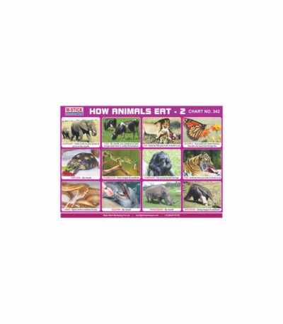 M-Stick Educational Chart 342 How Animals Eat-2