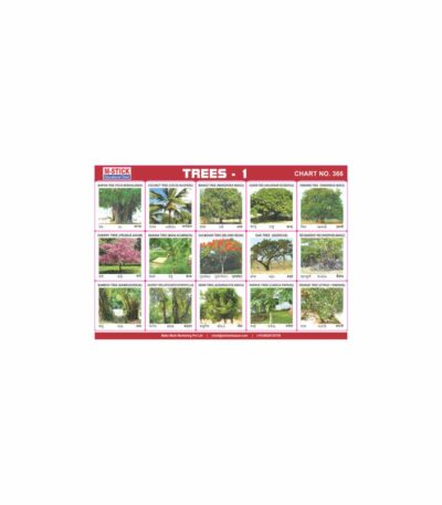 M-Stick Educational Chart 366 Trees-1