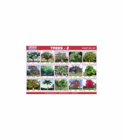 M-Stick Educational Chart 367 Trees-2