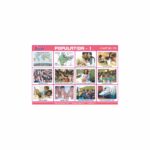 M-Stick Educational Chart 379 Population-1