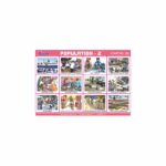 M-Stick Educational Chart 380 Population-2