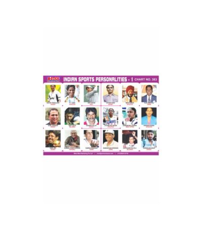 M-Stick Educational Chart 383 Indian Sports Personalities-1