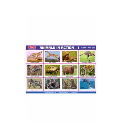 M-Stick Educational Chart 385 Animals In Action-1
