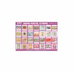 M-Stick Educational Chart 389 Indian Postal Stamps