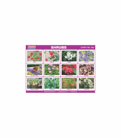 M-Stick Educational Chart 392 Shrubs