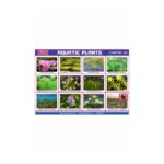 M-Stick Educational Chart 393 Aquatic Plants