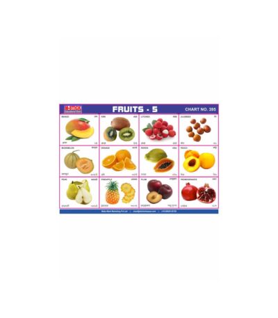 M-Stick Educational Chart 395 Fruits-5