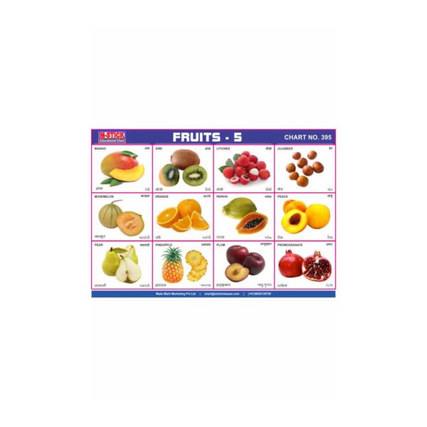 M-Stick Educational Chart 395 Fruits-5