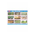 M-Stick Educational Chart 416 Soil Pollution-2