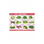 M-Stick Educational Chart 431 Leafy Vegetabels-1