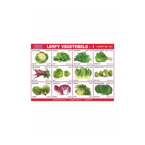 M-Stick Educational Chart 431 Leafy Vegetabels-1