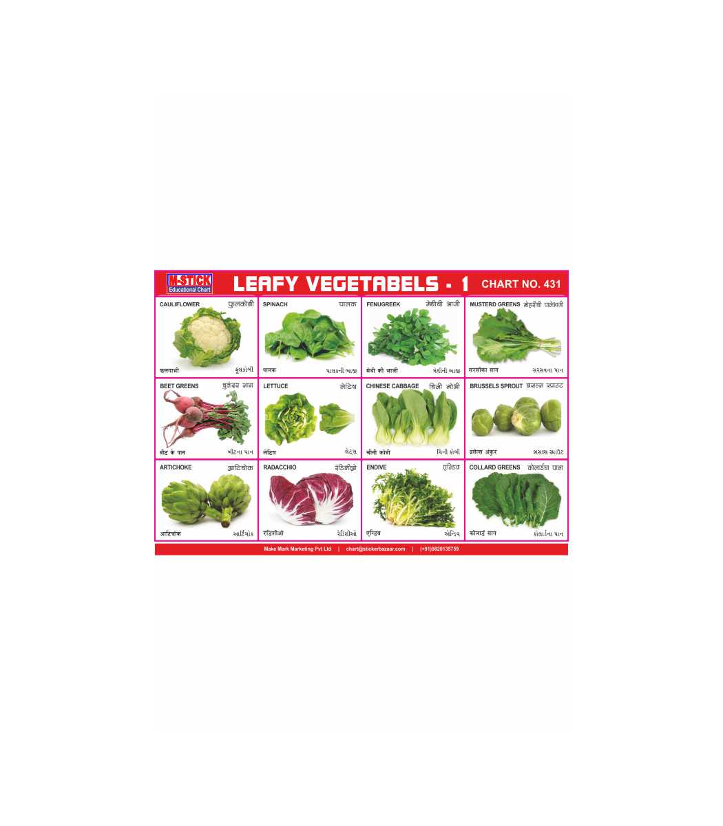 M-Stick Educational Chart 431 Leafy Vegetabels-1