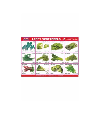 M-Stick Educational Chart 432 Leafy Vegetabels-2
