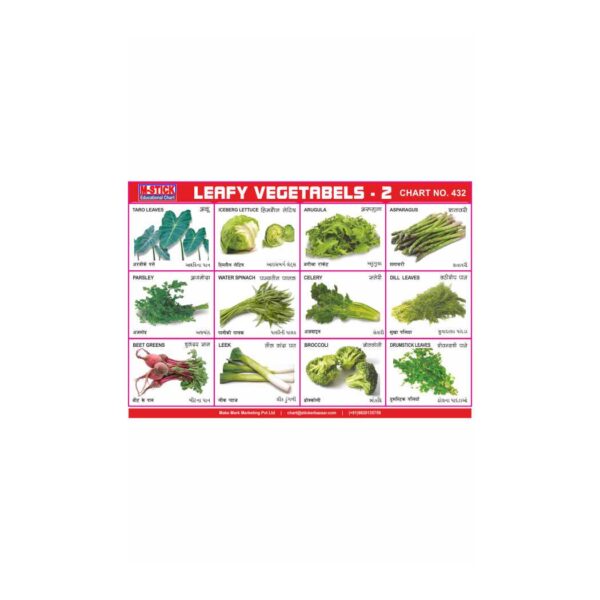 M-Stick Educational Chart 432 Leafy Vegetabels-2