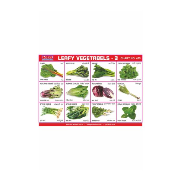 M-Stick Educational Chart 433 Leafy Vegetabels-3