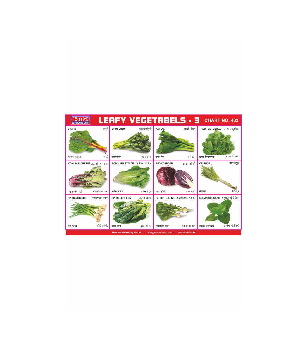 M-Stick Educational Chart 433 Leafy Vegetabels-3