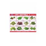 M-Stick Educational Chart 434 Leafy Vegetabels-4