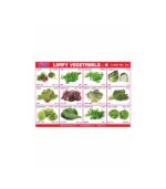 M-Stick Educational Chart 434 Leafy Vegetabels-4