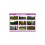 M-Stick Educational Chart 441 Types Of Forests-1