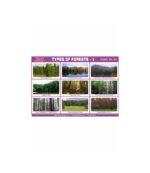 M-Stick Educational Chart 441 Types Of Forests-1