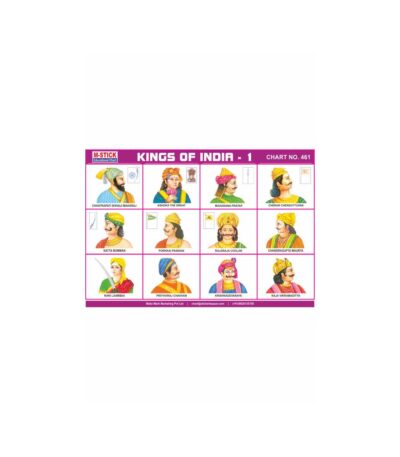 M-Stick Educational Chart 461 Kings of India-1