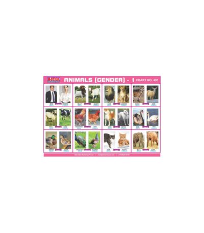 M-Stick Educational Chart 491 Animals (Gender)