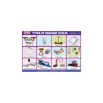 M-Stick Educational Chart 507 Types of Weighing Scales