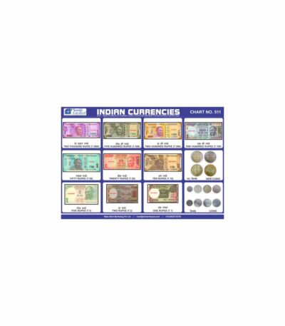 M-Stick Educational Chart 511 Indian Currencies