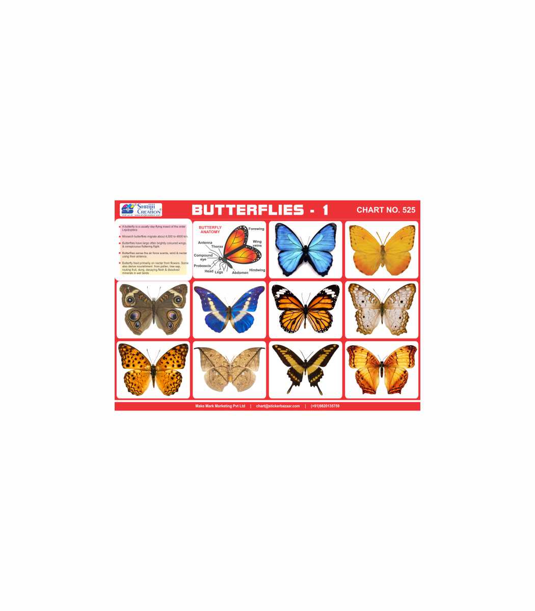 M-Stick Educational Chart 525 Butterflies-1