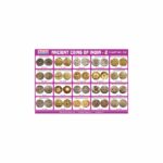M-Stick Educational Chart 538 Ancient Coins of India-2