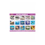 M-Stick Educational Chart 548 Water Animals