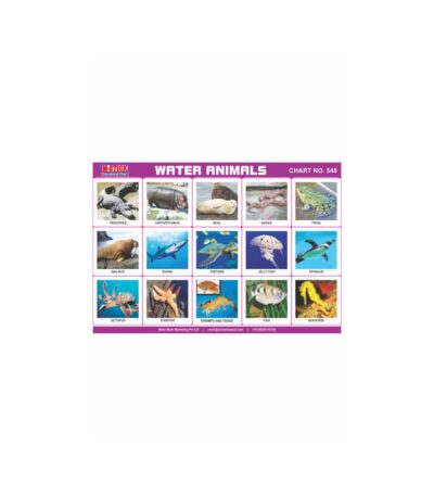M-Stick Educational Chart 548 Water Animals