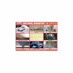 M-Stick Educational Chart 553 Natural Disaster-4