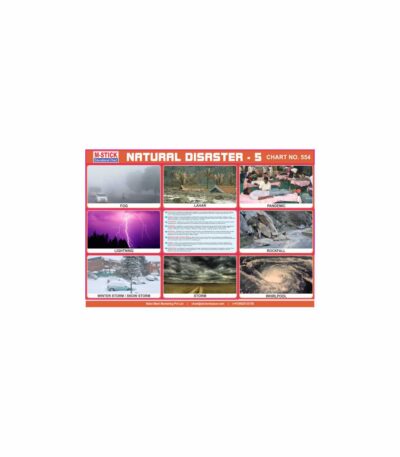 M-Stick Educational Chart 554 Natural Disaster-5