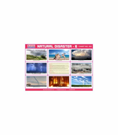 M-Stick Educational Chart 555 Natural Disaster-6