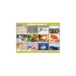 M-Stick Educational Chart 556  Marine Wealth