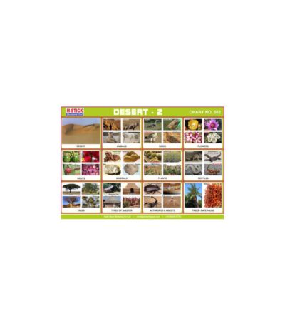 M-Stick Educational Chart 562 Desert-2