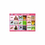 M-Stick Educational Chart 618 Insects & Their Shelters